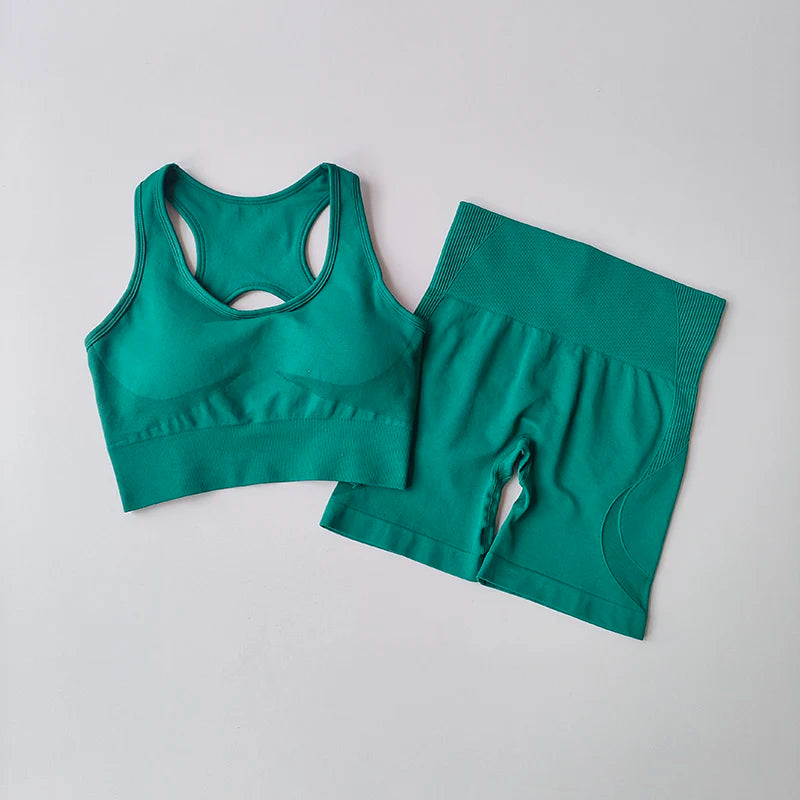2 PCS Seamless Yoga Set